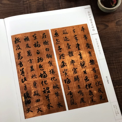 Чионгинг тысячи тысяч персонажей Вэнь Цзиньин знаменитые памятники посты Солнца Бауэна Знаменитая рабочая подборка из каллиграфии каллиграфия каллиграфия каллиграфия каллиграфия подкалиграфическая ручка Иннохорическая оригинальная времени Студенческая каллиграфия Получив книги