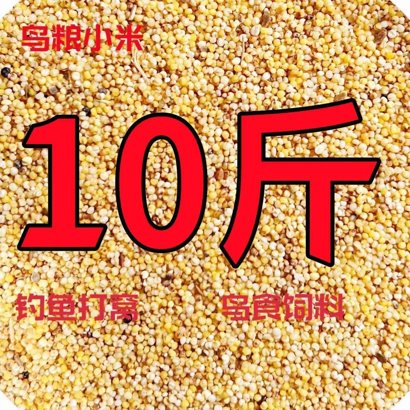 Bird Feed: Crushed Millet, Bird Food, Broken Rice, Bird Grain, Hulled Millet, Yellow Millet, for Feeding Sparrows, for Brewing, for Feeding Chickens, Ducks, Geese, and as a Donation