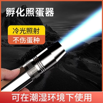 Egg-in-the-egg-hatching special egg-detector flashlight intense light penetrating rechargeable mini-egg check cold light LED