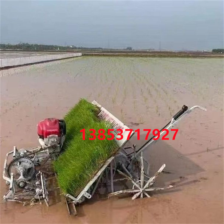 农用水稻插秧机手扶步进式4行6行水稻种植机小型栽苗机插秧机-淘宝 