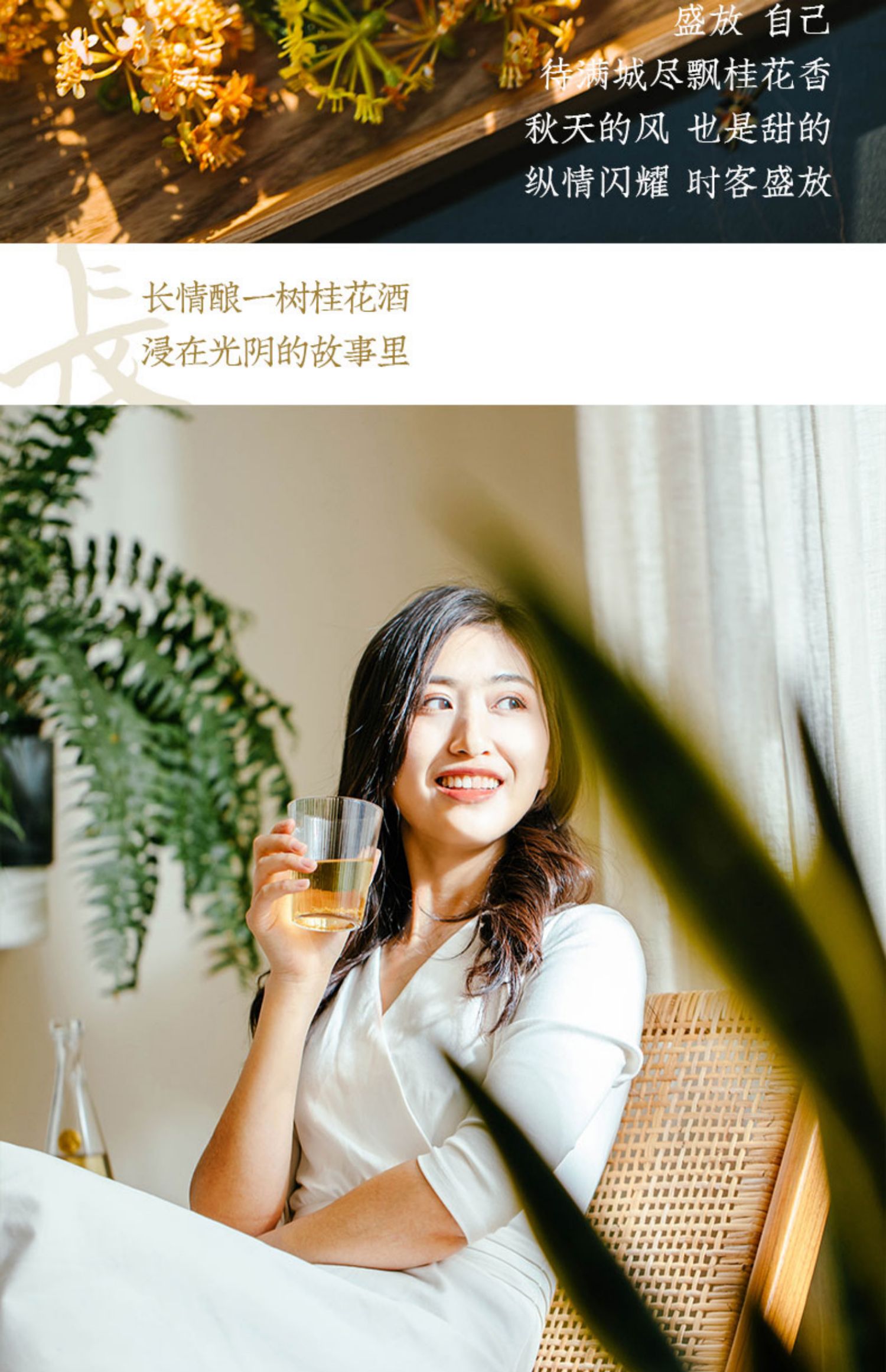 【买即送锤纹酒杯*2】时客桂花酒礼盒装
