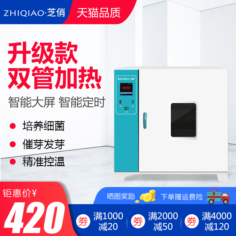 Electric Hot Blast Drying Cabinet Laboratory Vacuum Industrial Oven Small Commercial Dryer Oven Drying Oven