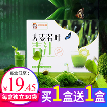 Barley Wakaba green juice powder Official flagship store Xiaoyu Enzyme Ant Daotian Rice Field Farm Barley seedling clear juice