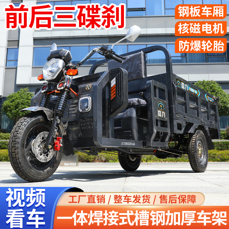 Jiali Electric Tricycle for Home and Agricultural Use, 1.6m Battery-Powered Cargo Tricycle, High-Power Heavy-Duty Tricycle for Adults