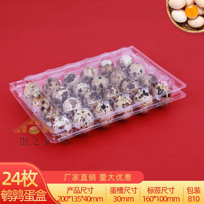 24 plastic thickened with buckle quail egg child Disposable Quail Egg Box Gift Box Packaging Transparent 100
