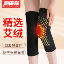 Knee cover warm old cold leg sheath Wormwood self-heating men and women paint the elderly joint thin cold artifact
