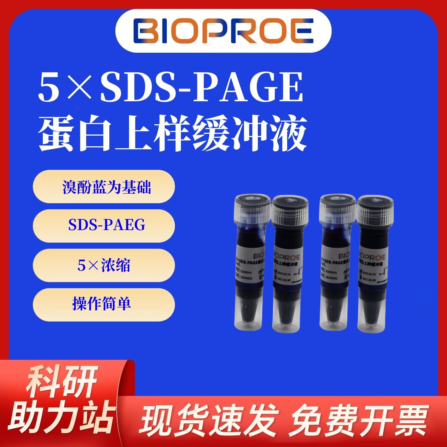5&times;SDS-PAGE蛋白上样加样缓冲液含DTT1ml实验试剂教学