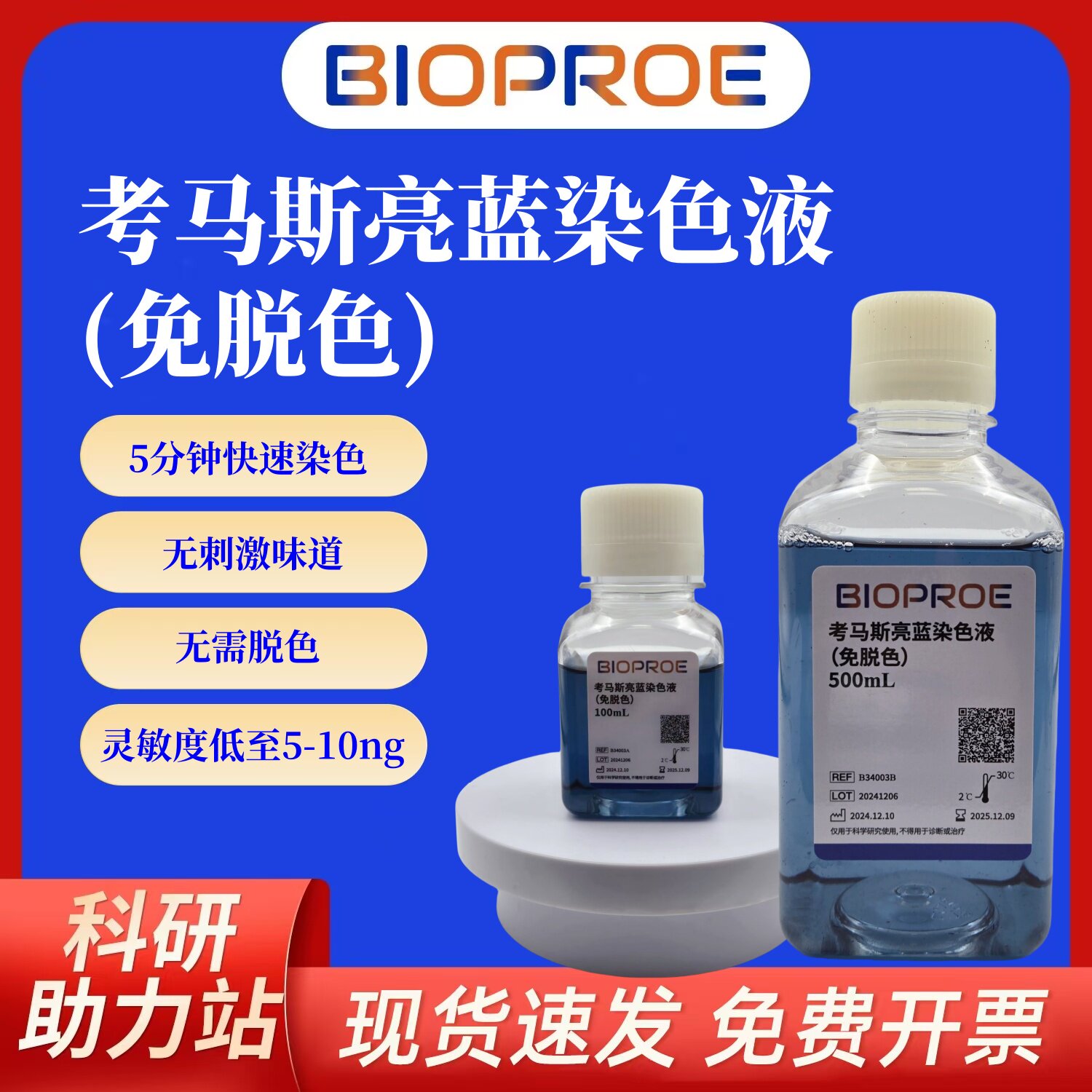 考马斯亮蓝染色液蛋白SDSPAGE胶快速染色无需脱色无刺激味道