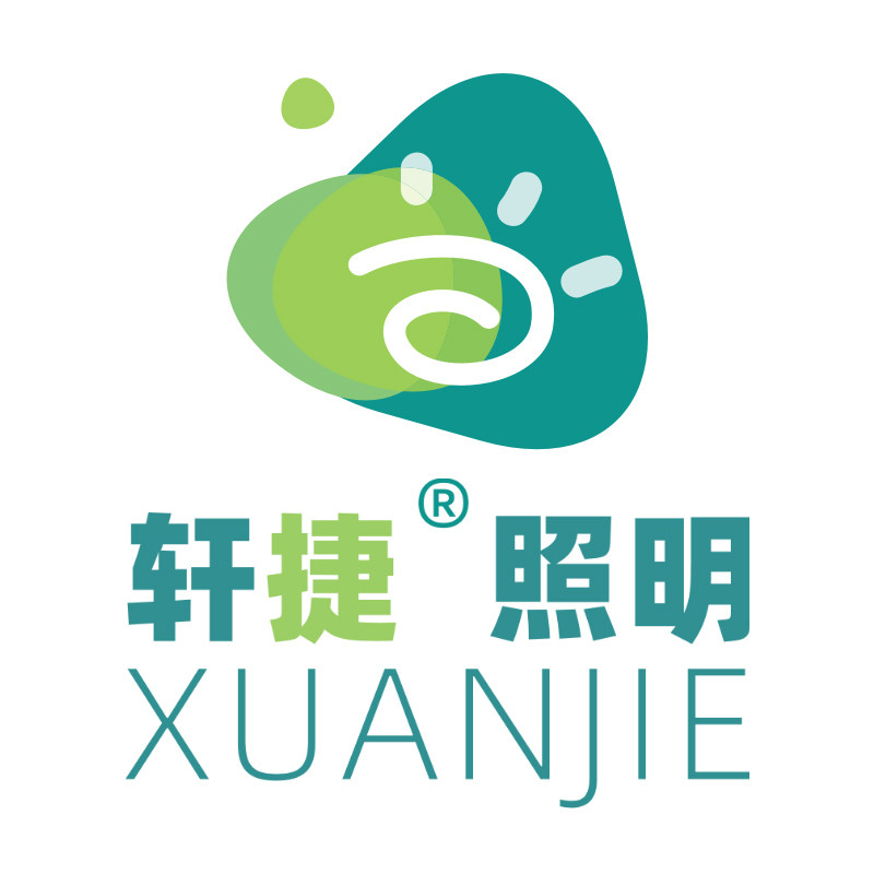 佛山轩捷照明