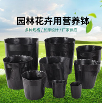 Kunning King Nutrition Cup Seedling Cup Nutrition Bowl Nutrition Bag Nursery Pot Plastic Thickened Disposable Agricultural Flower Pot
