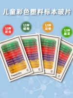 48 Образец-4 типов