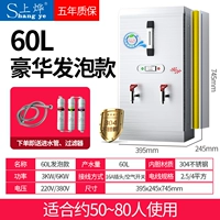 60L/220V/6 кВт (модель пена).