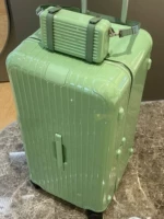 Зеленый бамбук зеленый