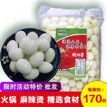 2.5kg watery 5 kg white water quail egg cooked water hot pot ingredients shelled Oden fresh spicy hot skewers