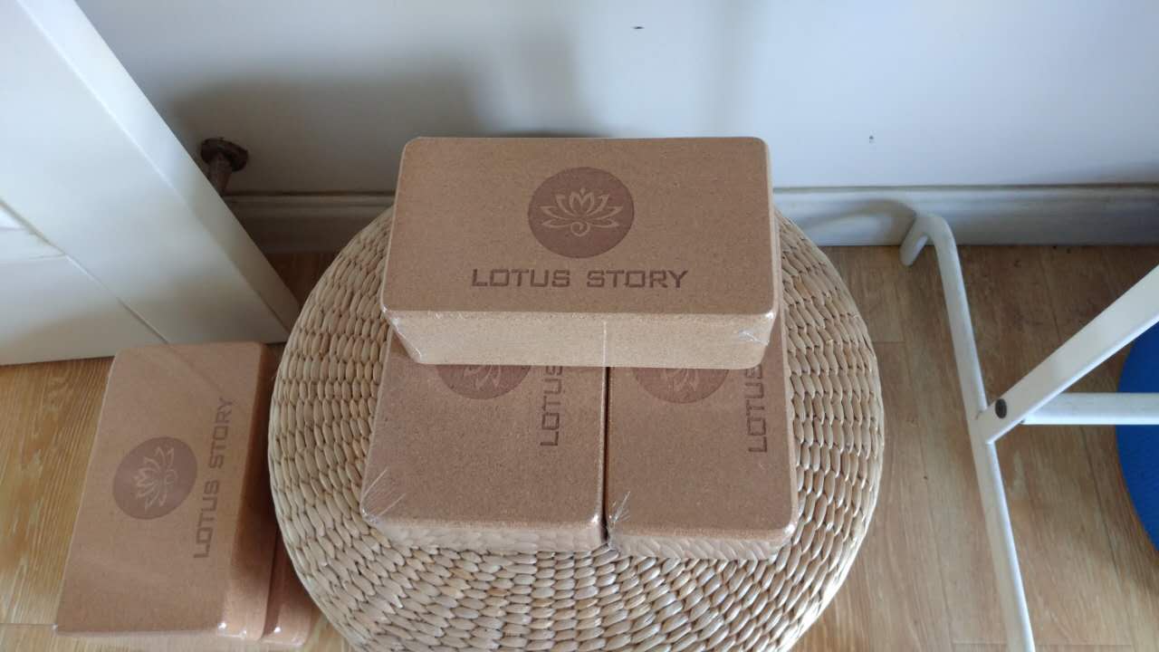 Yoga workshop selects Louts Story High Density Yoga Cork brick Iyanger Yoga brick