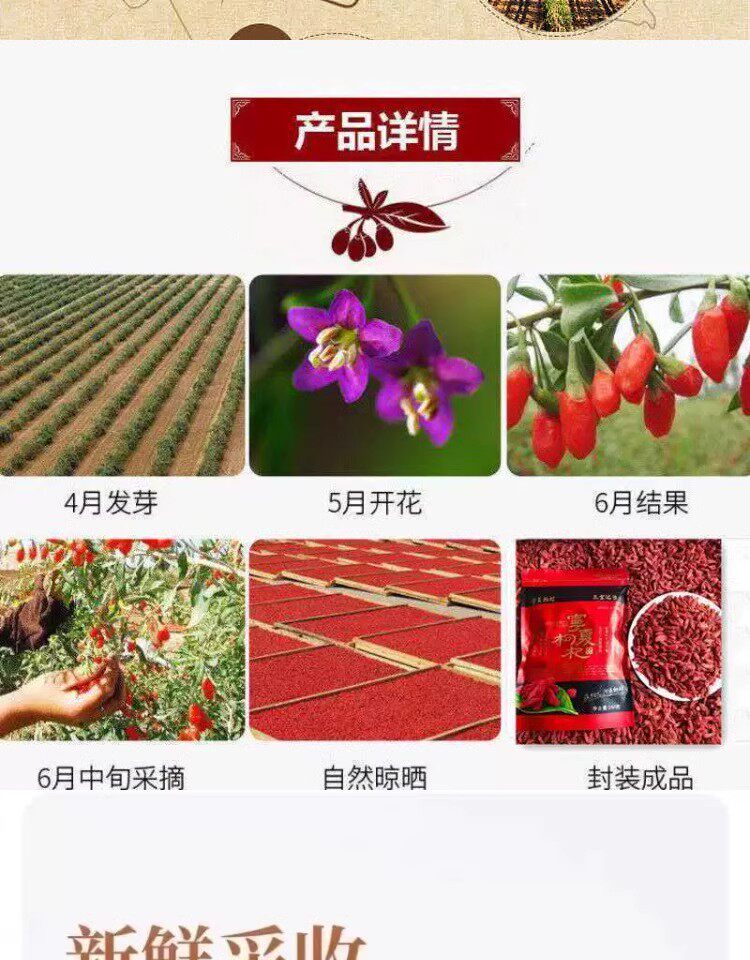 Ningxia Goji Berries Gou Qi Zi Large Red Dried Fruit for Tea Wine and Cooking 250g Jar key features