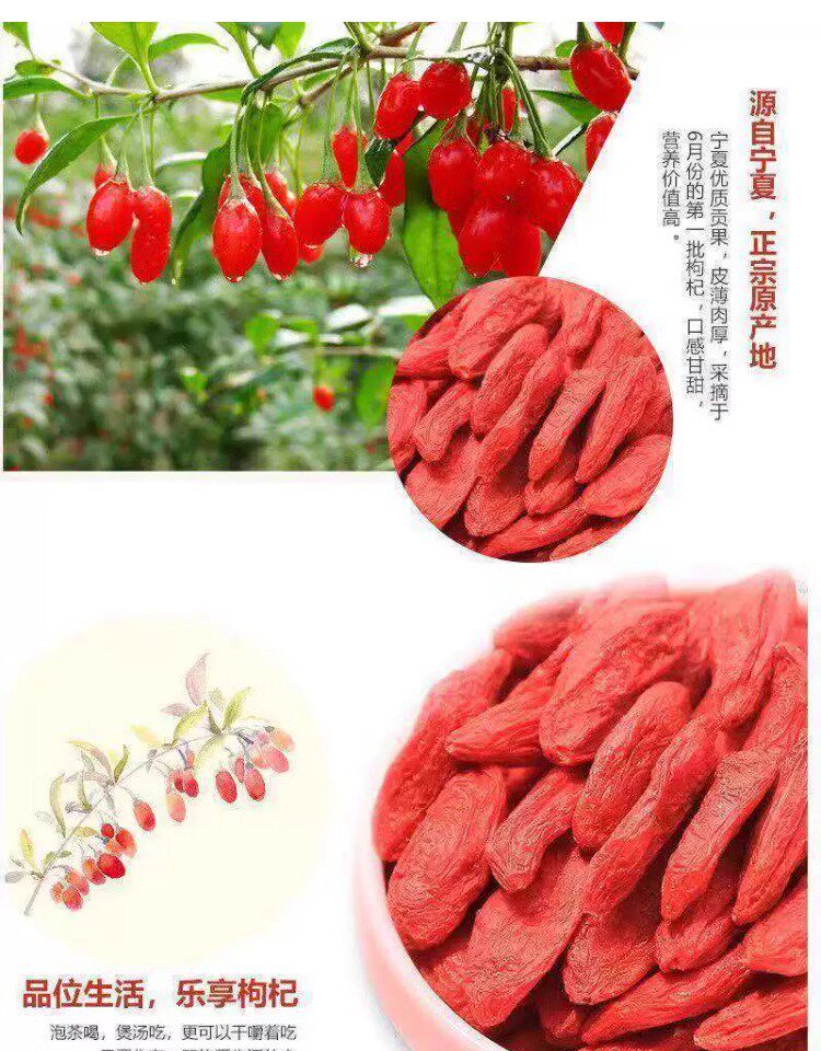 Ningxia Goji Berries Gou Qi Zi Large Red Dried Fruit for Tea Wine and Cooking 250g Jar details