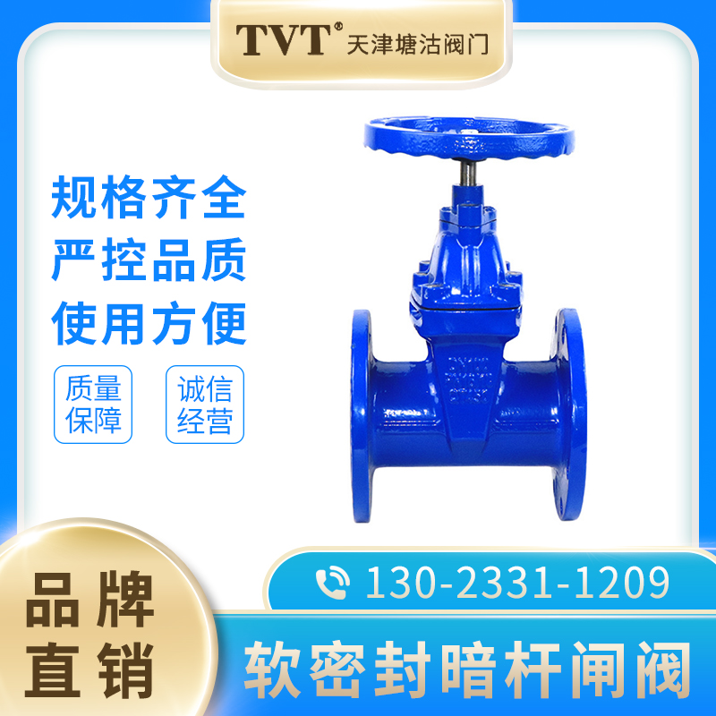 Tianjin Tanggu Valves TVT Shanghai Seiko Liangworkers Shanghai Work Valve Soft Seal flange Concealed Rod Gate Valve Z45X-16