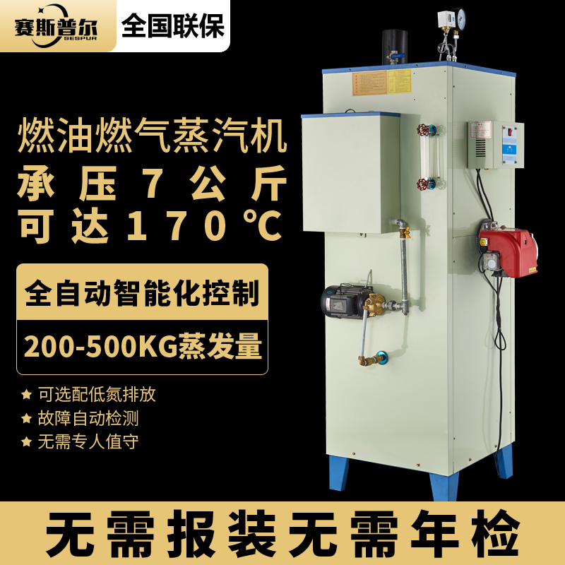 Fuel gas Steam Boiler Fully Automatic Food Processing High Temperature Clothing Ironing Disinfection Bridge Conservation Industry