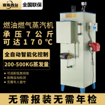 Oil gas steam boiler automatic food processing high temperature clothing ironing disinfection bridge maintenance industry