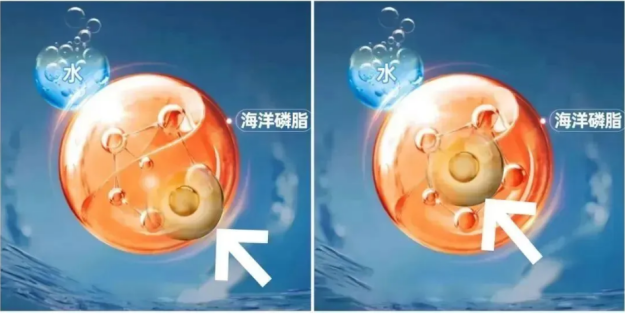 d9zMpP2Y_RwxI (1).png