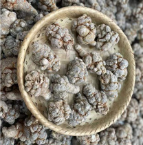 Yunnan Wenshan lions head 37 Chinese herbal medicine 10 head Tite-level field seven-can-grinding powder slices canned