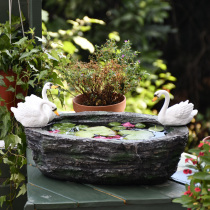 Creative Hydropony Swan Flower Pots Large Caliber Bronze Money Grass Water Fairy Grass Multimeat Basin Garden Decorated Patio balcony Placement