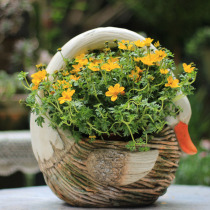 Animal flower pots Garden decoration ornaments Kettle goose shape retro old gardening balcony outdoor rattan flower pots