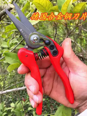 Sagawa Tin German steel pruning shears labor-saving fruit scissors imported pointed bonsai flower branches Pruning flower arrangement
