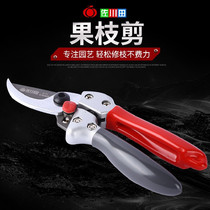 Sagawada Taiwan original Japan imported SK5 steel fruit tree pruning scissors Beak double-edged labor-saving branch scissors Bonsai