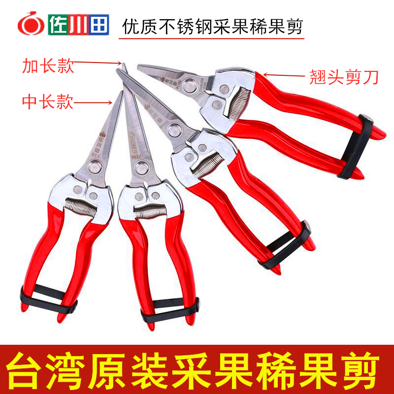 Sagawa Tian stainless steel serrated blade fruit picking scissors warped head vegetables and fruits lengthened pepper scissors cut grape household flower branches