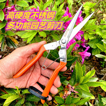 Taiwan Sagawa Tin Sawtooth Blade Stainless Steel Fruit Harvest Fruit Shear Vegetable and Fruit Cut Grape Pitaya Pepper Pepper