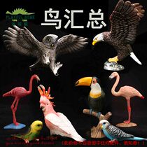 playful home Le Beifu animal model simulation toy Bird Parrot Flamingo Eagle Owl Children