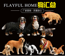 palyful home Simulation animal model toy dog Golden Retriever Big dog puppy yellow dog Black dog