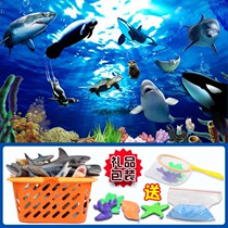 Marine animal model simulation toy set Childrens boy educational toys Underwater sand table Shark Dolphin Whale