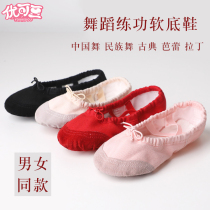Dance Shoes Children Women Ballet Soft-bottom Exercises Shoes Girl Dancing Shoes Performance Shoes China Dance Body Cat Paw Shoes