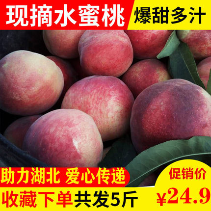 æ¹åè¥é³æ°´èæ¡5æ¤åé®æ¯æ¡æ°é²å½å­£æ°´æå­å¦èçå¯å£çèå¤æ±10