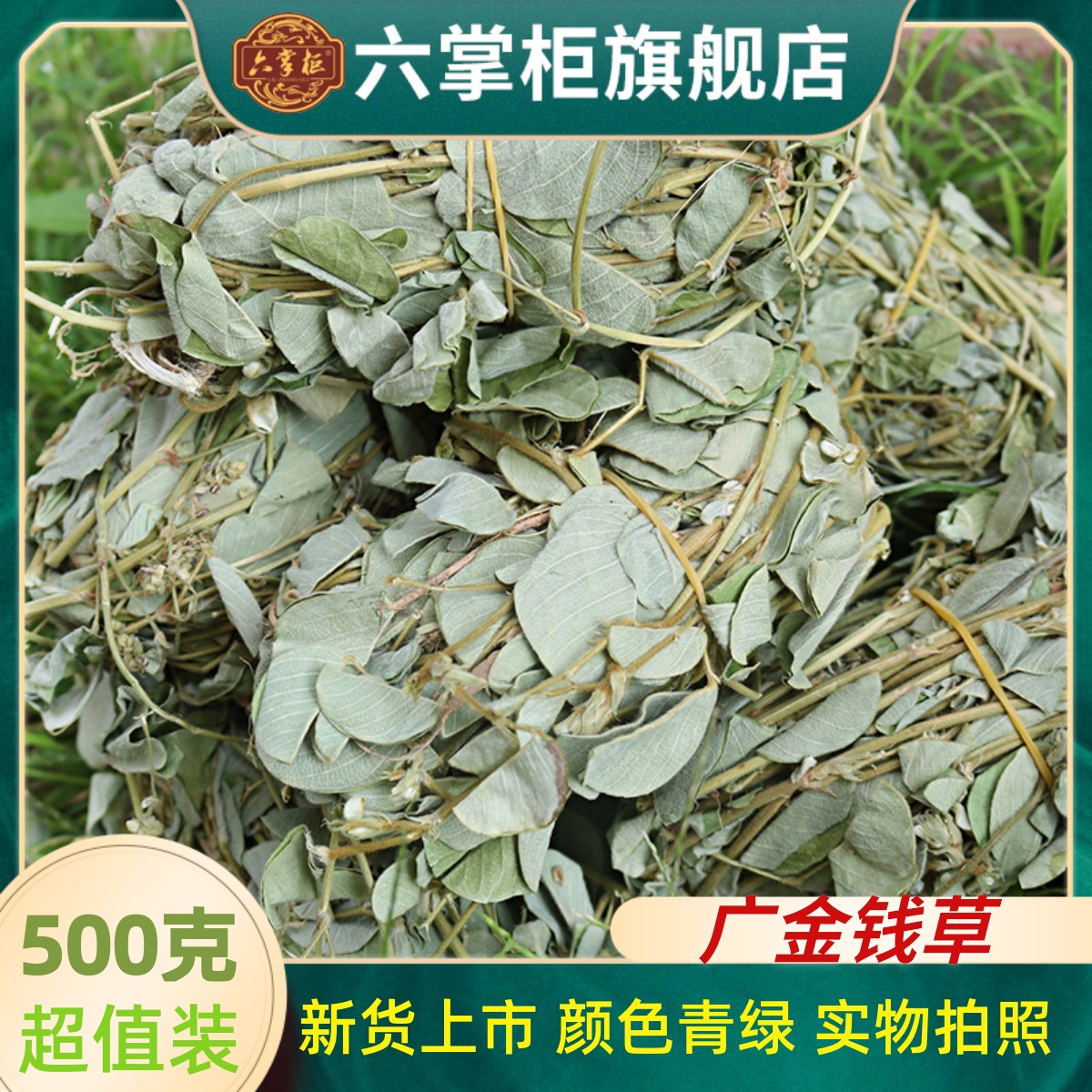 New Goods Guangxi Large Leaf Gold Money Grass Wild Chinese Herbal Medicine Wide Gold Money Grass 500 gr Worthy Sea Golden Sand Chicken Nequin