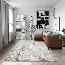 Turkey imported carpet Living room simple modern Nordic light luxury sofa coffee table mat Bedroom bedside blanket ins wind