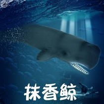 Forest Bestseller Whale Shark Toy Marine World Sperm Whale Model Emulation Animal Suit Large Grey Whale White Whale