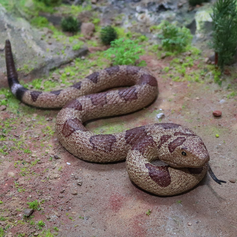 Игрушки-животные 林畅模玩儿童爬行动物软胶响尾蛇玩具仿真蛇模型大号毒蛇男孩认知