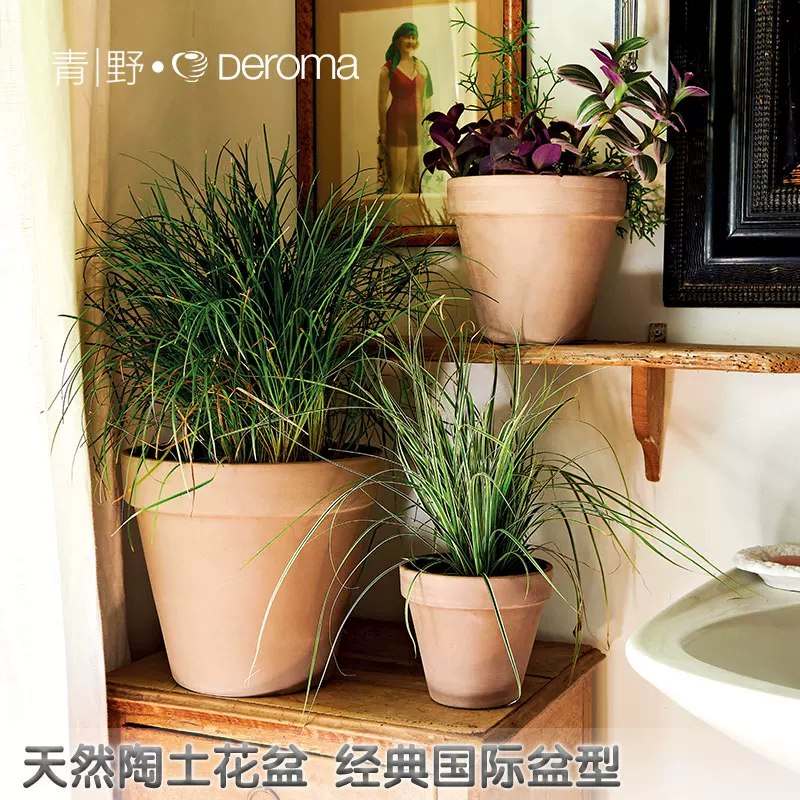 DEROMA Международная глиняная горшок succulent цветы зеленый растение пол Flooring Балкон красный глиняный горшок домашний садоводство цветочный горшок