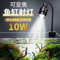 Fish Tank Spotlight Recommendation Ornamental Lamp South American Cylinder Fish Tank Lamp Led Lamp Waterproof Stream Cylinder Light Water Grass Thunder Dragon Fish Specie