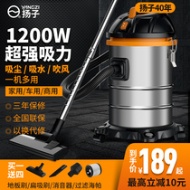 Yangzi vacuum cleaner Household large suction small hand-held powerful high-power beauty seam car wash industrial vacuum cleaner