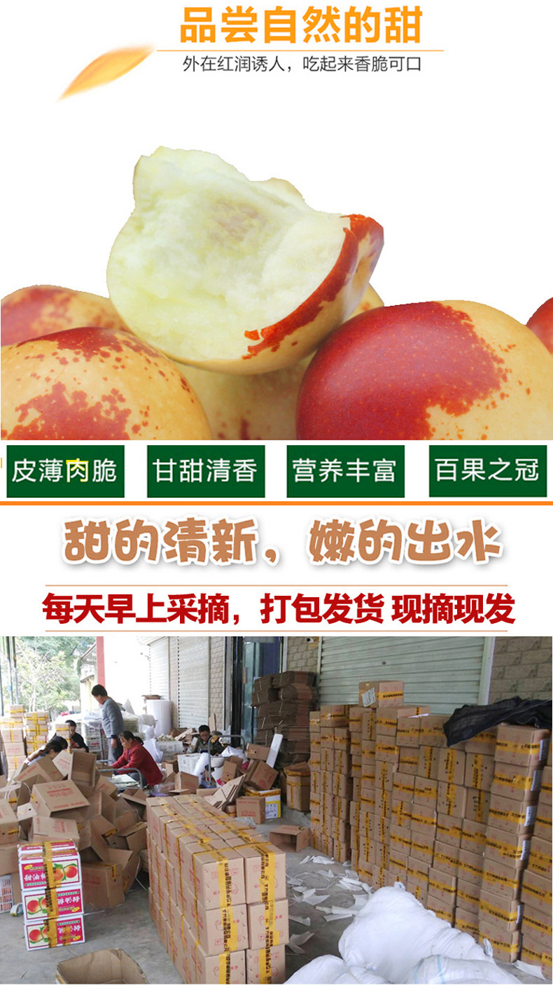 脆甜冬枣3斤礼盒装 图4