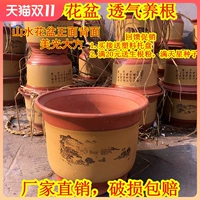 Очень большой керамический цветочный горшок, орхидея