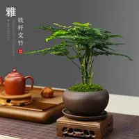 Эротический бамбуковый горшок для очистки настольного компьютера.