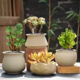 Грубая керамика Оригинальная почвенная стрельба неглазурованная суккулентная растительная керамическая цветочная горшка Простая творческая зеленая зеленая плантационная комбинация