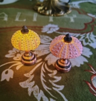 Розовый морской еж [5MDASH6CM Нет огней]