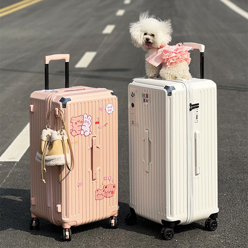 Large Fish Luggage Large Capacity Pull Lever Case 28 Inch Suitcase Woman Shock Absorbing Brake Universal Wheel Password Suitcase